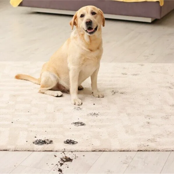 Hardwood-spills-1-square Hardwood-spills-1-square